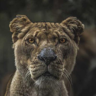 照片 6
